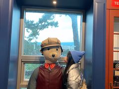 -济州岛泰迪熊博物馆