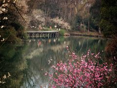 -西溪国家湿地公园