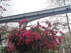 -深圳海景嘉途酒店(东翼楼)