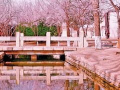 -三里河公园