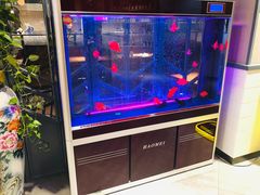 -比格比萨自助(国展店)