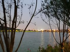 -羊山湖公园