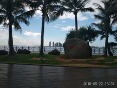 景点-万绿园
