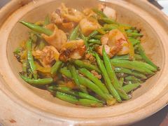 云南扁豆啫脆鱿鱼-炳胜品味(珠江新城店)