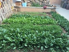 -柳沟豆腐宴69号福豆堂