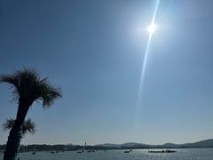 -太湖饭店玉兰厅(自助餐厅)