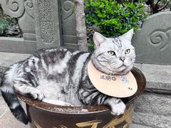 -龙华寺