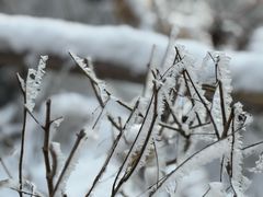 -水磨沟公园