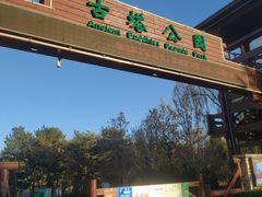 -古塔公园
