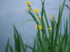 -白塘生态植物园