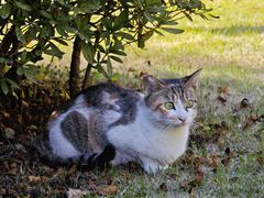 -浙江农林大学(东湖校区)