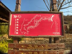 -黄花溪