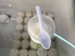 -洪馨椰子