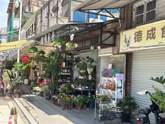 -溪岸路花鸟市场