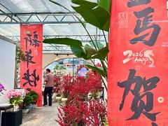 -荷兰花海