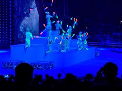 -珠海横琴长隆《卡卡虎奇遇记》