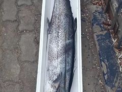 -青岛沙子口国家中心渔港