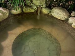 -三江森林温泉度假区