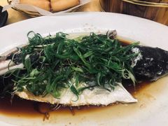 陈皮骨横琴岛魭鱼-成惠食府(赤岗店)