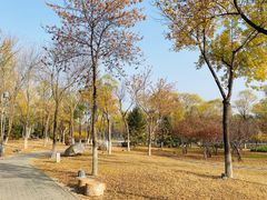 -延庆地质公园博物馆