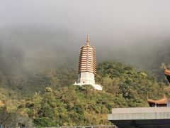 -深圳仙湖植物园