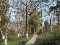 -桤木河湿地公园