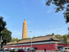 -阿叶羊杂碎(前进街店)