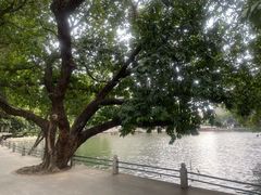 -荔湾湖公园