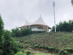 -帐篷客·溪龙茶谷度假酒店