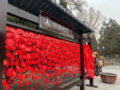 -张掖大佛寺景区