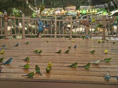 -南宫五洲植物乐园