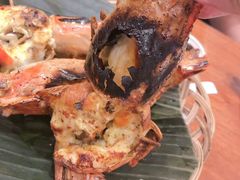 -Cabe Ijo