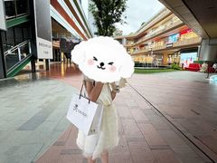 -砂之船奥莱(南京江宁店)