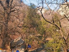 -北京鹫峰国家森林公园