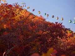 -周口店坡峰岭风景区