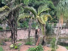 -深圳野生动物园