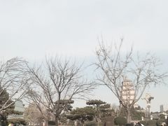 -大慈恩寺(大雁塔)
