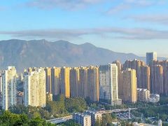 -金鸡山公园