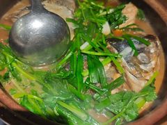 -九道菜有鸡鱼头(石鼓路店)