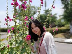 -大塘金香草谷