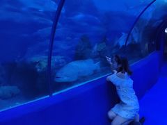 -左海海底世界