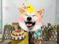 -艳芳照相馆