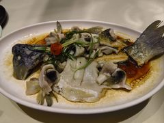 -巡味顺德菜(龙华壹方城店)