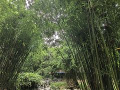 -汇龙潭