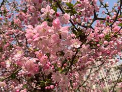 -小米乐儿童之家