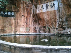 android_upload_pic-圆通禅寺