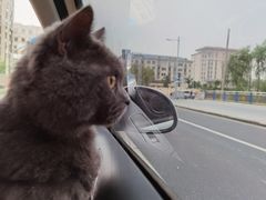 -盒马鲜生(馥邦国际店)