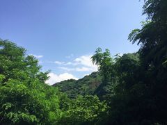-沣峪口