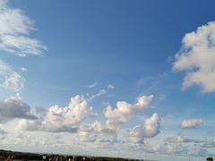 -红树林天天赶海