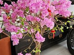 -丽江庭院之爱在路上(西单店)